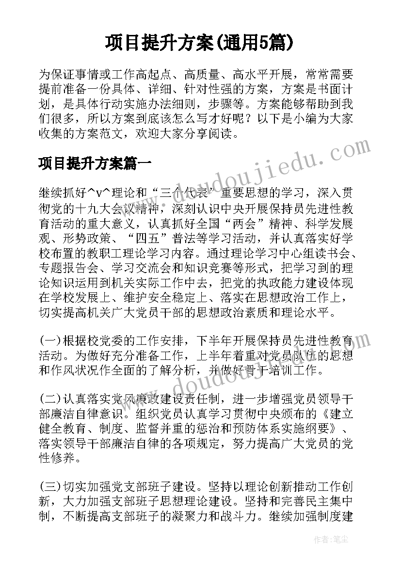 项目提升方案(通用5篇)