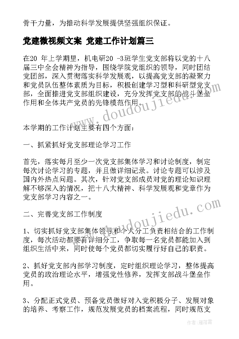 最新党建微视频文案 党建工作计划(大全10篇)