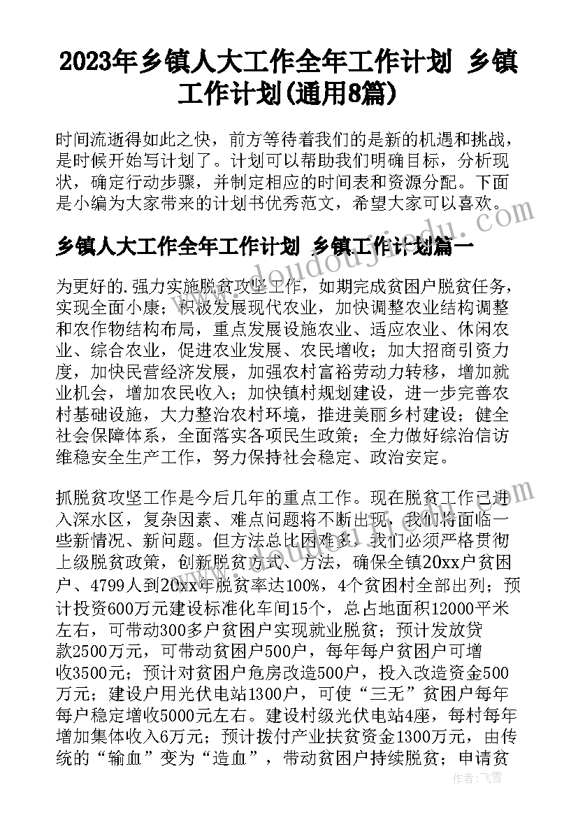 2023年乡镇人大工作全年工作计划 乡镇工作计划(通用8篇)