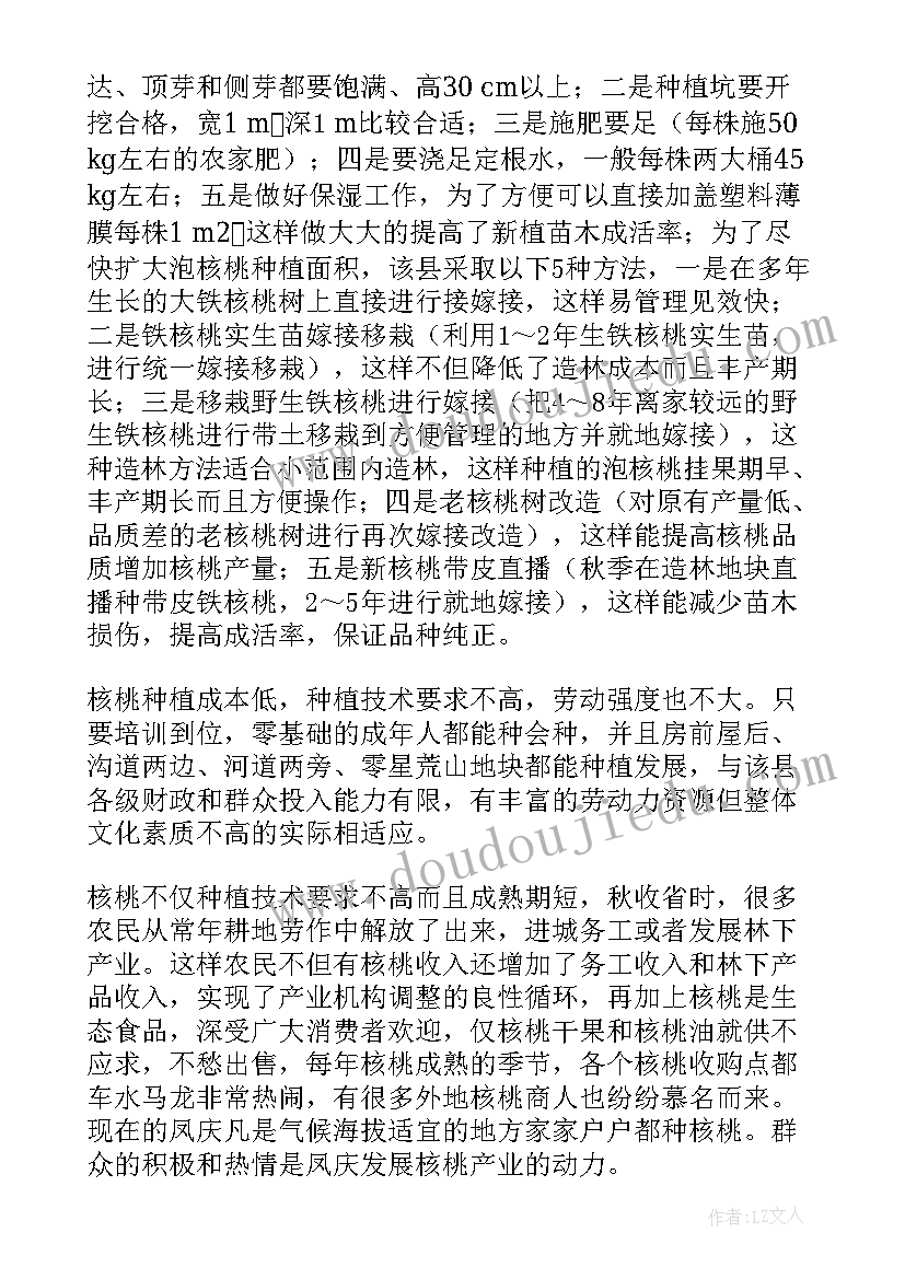 最新核桃产业发展工作计划(优质5篇)