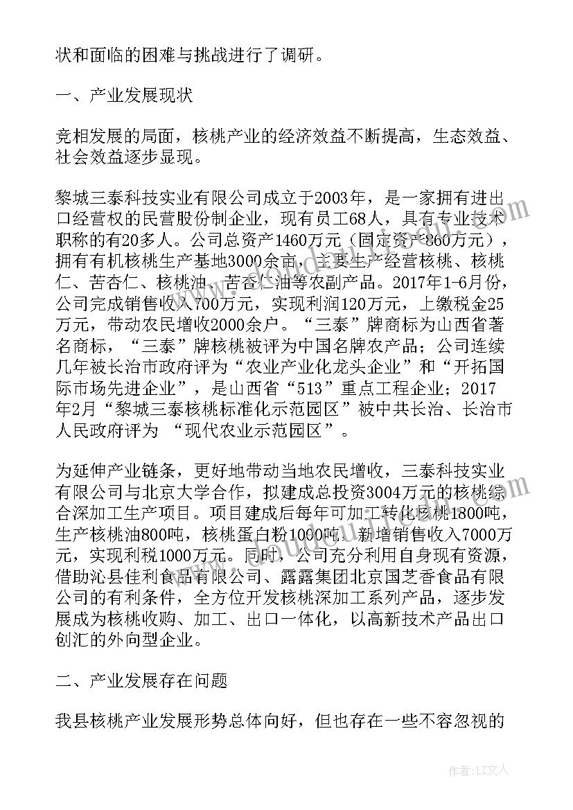 最新核桃产业发展工作计划(优质5篇)