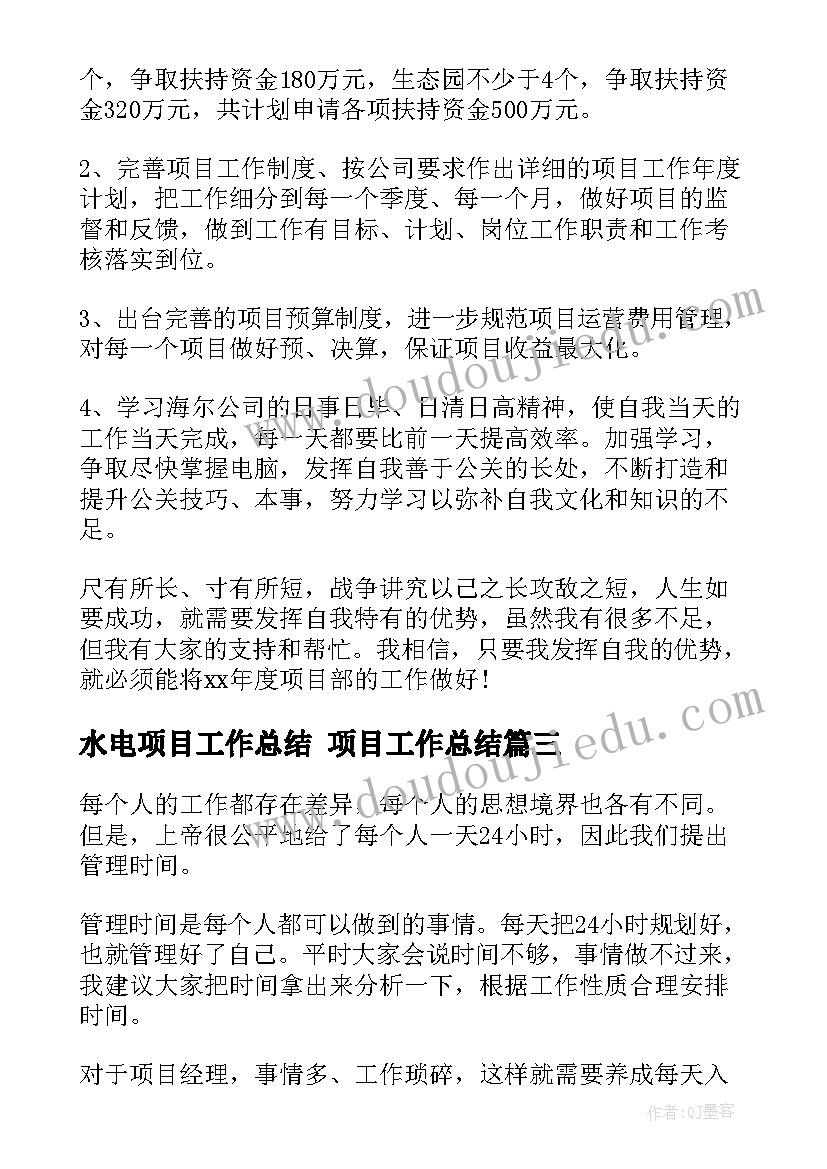 2023年水电项目工作总结 项目工作总结(大全10篇)