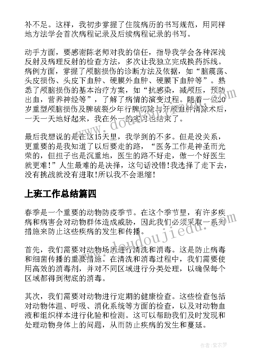 2023年上班工作总结(模板9篇)