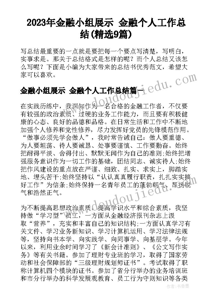 2023年金融小组展示 金融个人工作总结(精选9篇)