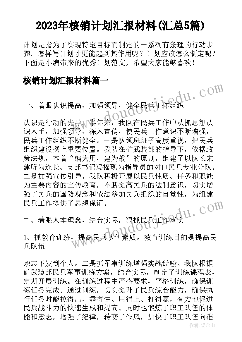 2023年核销计划汇报材料(汇总5篇)