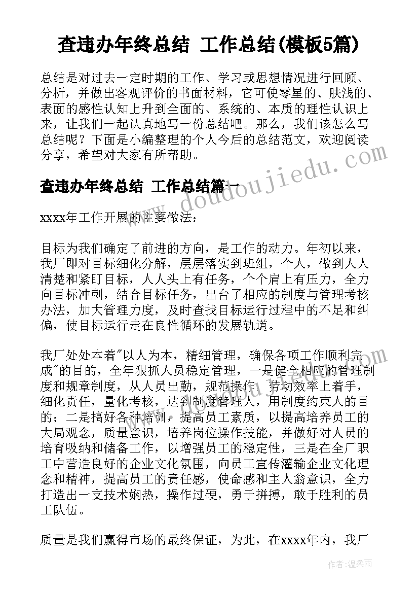 查违办年终总结 工作总结(模板5篇)