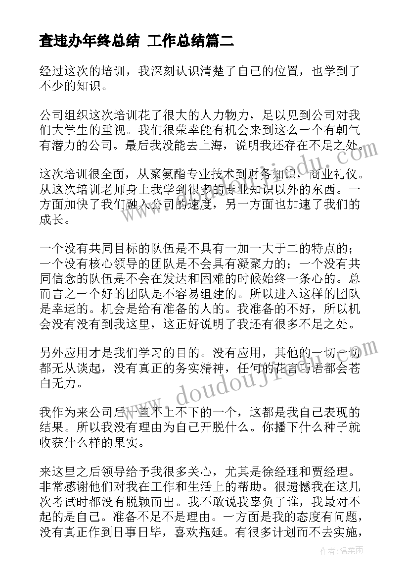 查违办年终总结 工作总结(模板5篇)