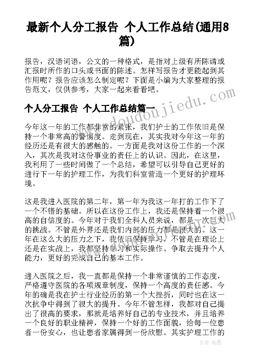 最新个人分工报告 个人工作总结(通用8篇)