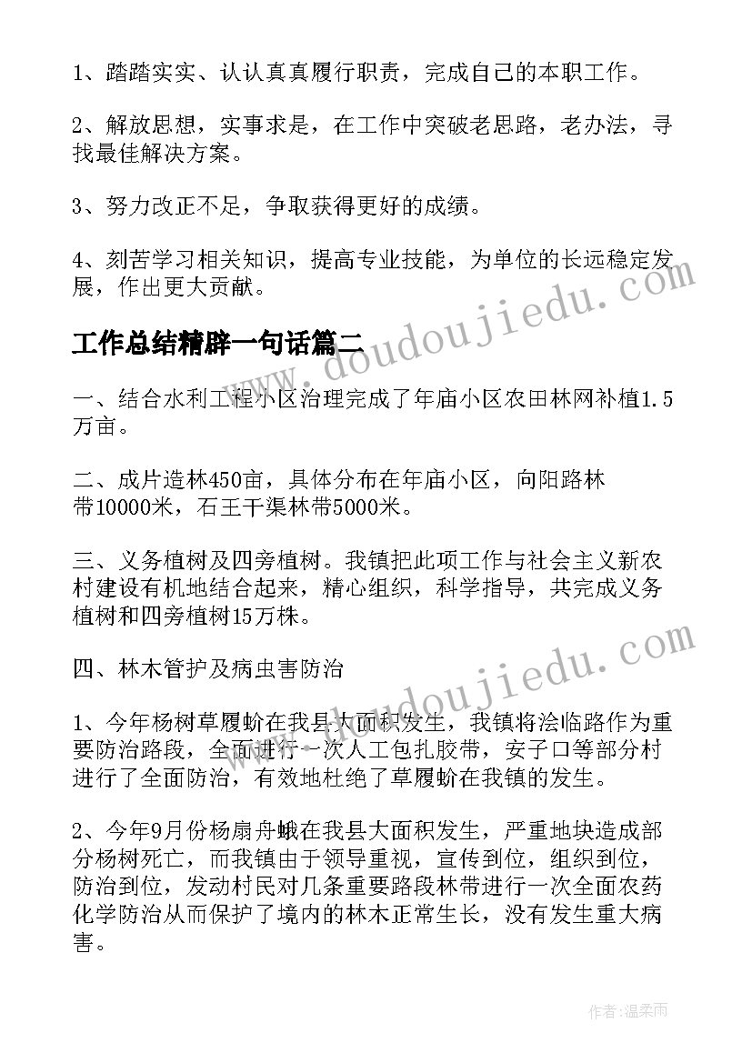 2023年工作总结精辟一句话(模板7篇)