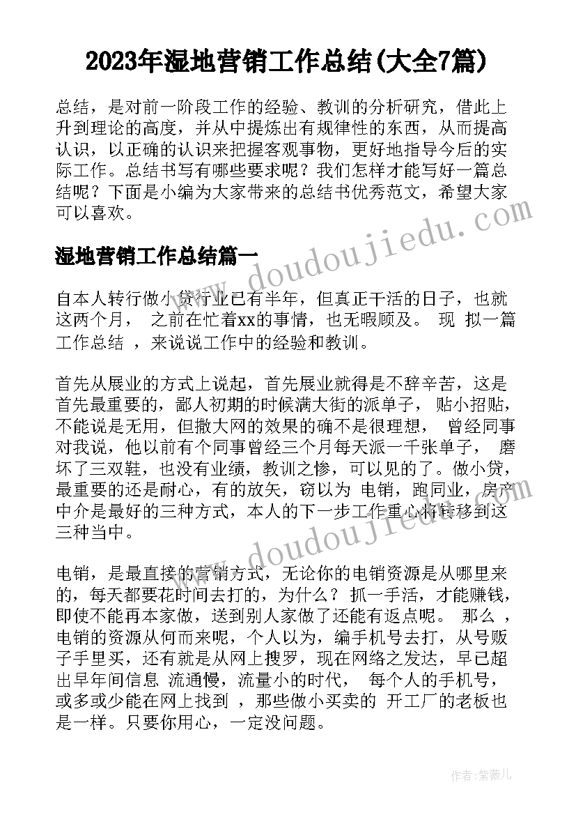 2023年湿地营销工作总结(大全7篇)