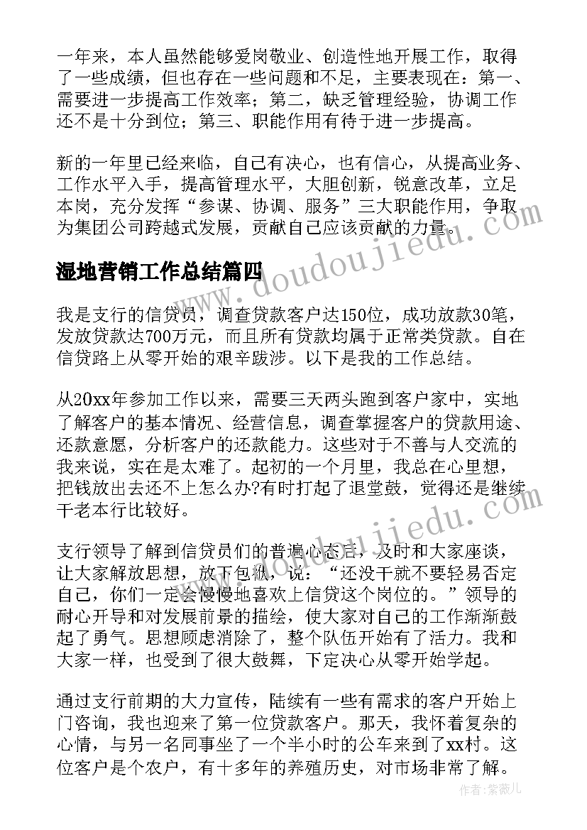 2023年湿地营销工作总结(大全7篇)