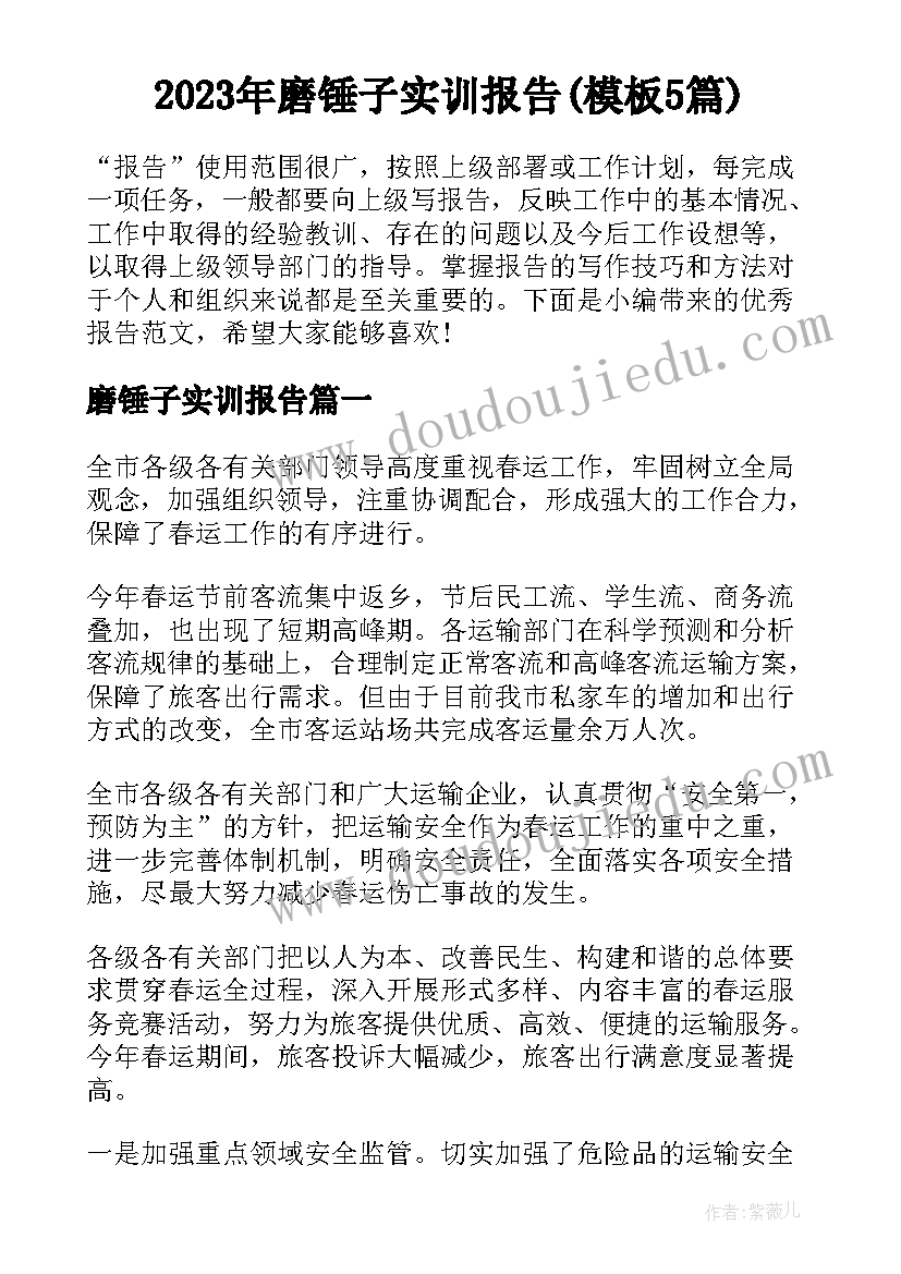 2023年磨锤子实训报告(模板5篇)