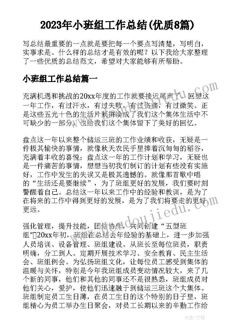 2023年小班组工作总结(优质8篇)