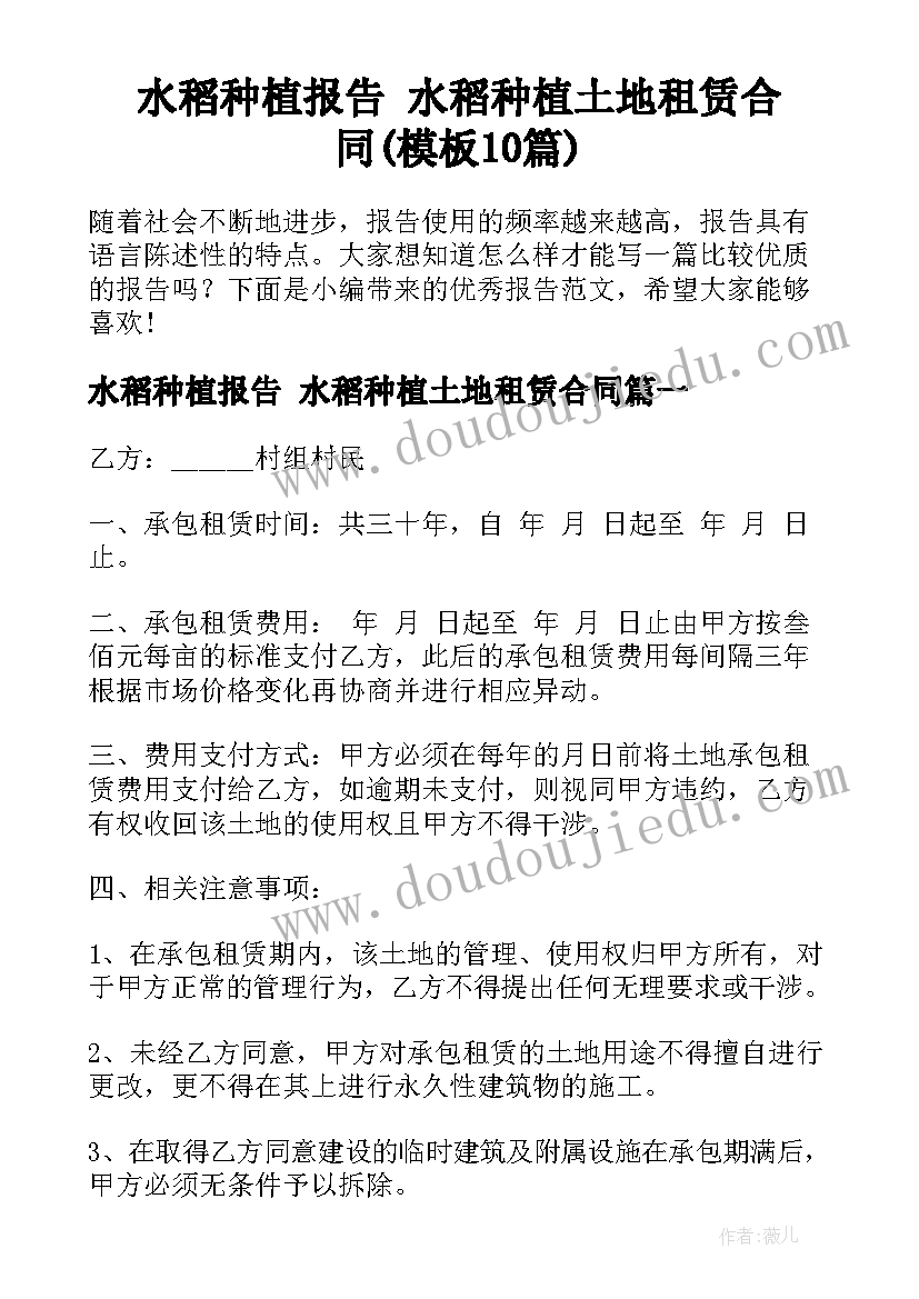 水稻种植报告 水稻种植土地租赁合同(模板10篇)