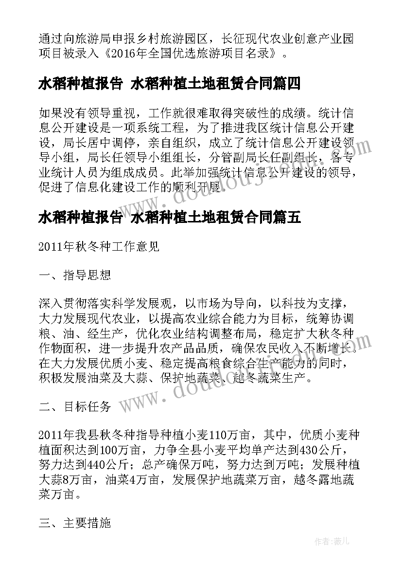 水稻种植报告 水稻种植土地租赁合同(模板10篇)