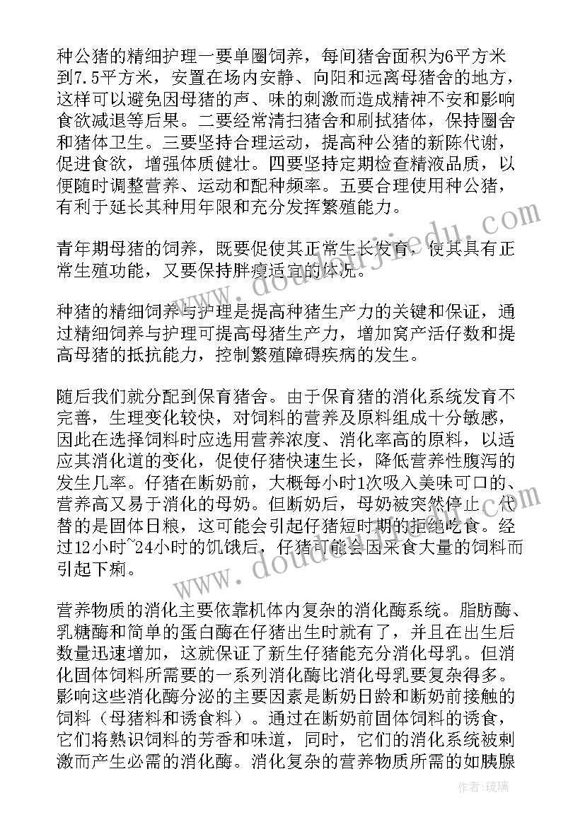 2023年小学体育教师课题研究 小学体育教师工作计划(优秀7篇)