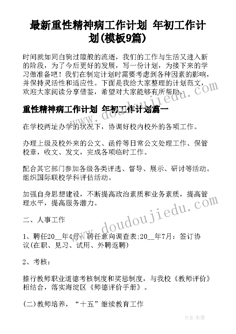 最新重性精神病工作计划 年初工作计划(模板9篇)