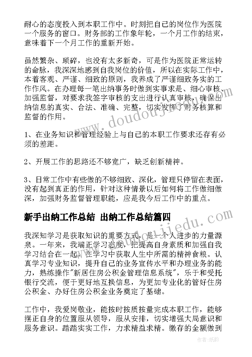 2023年新手出纳工作总结 出纳工作总结(汇总8篇)