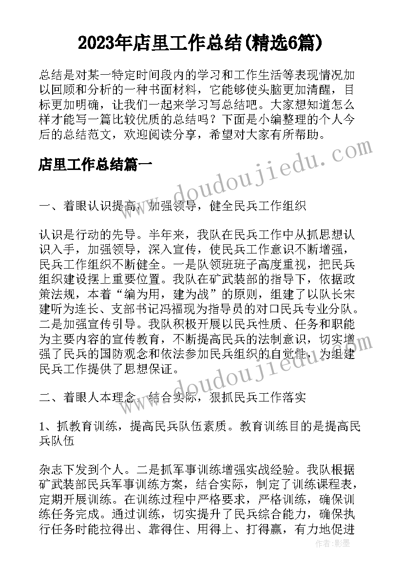 2023年店里工作总结(精选6篇)