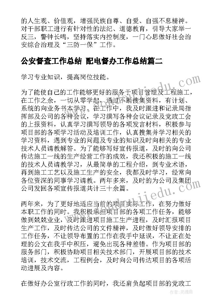 2023年公安督查工作总结 配电督办工作总结(通用6篇)