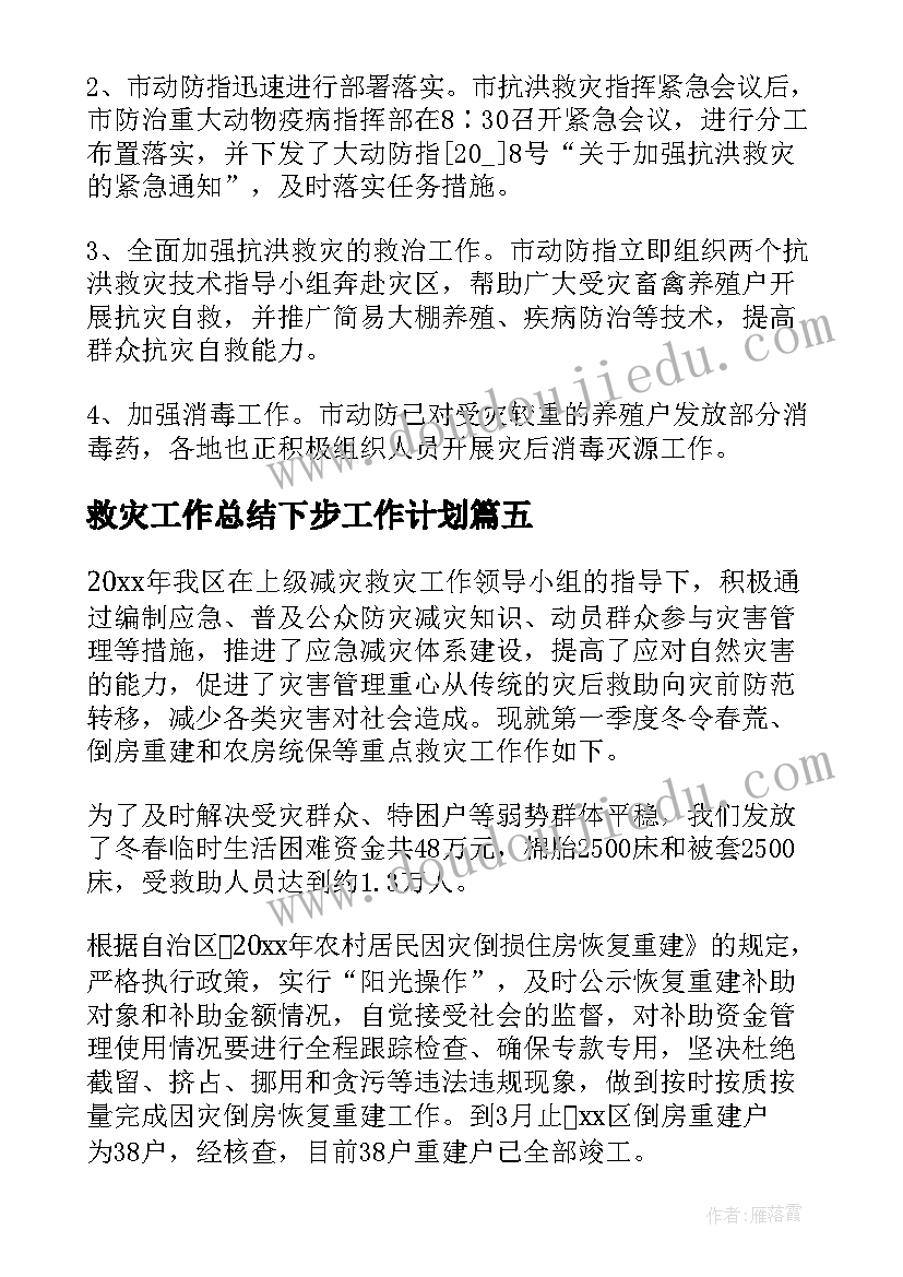 2023年救灾工作总结下步工作计划(模板9篇)