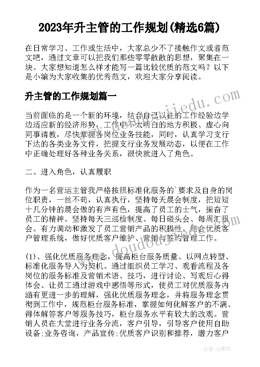 2023年升主管的工作规划(精选6篇)