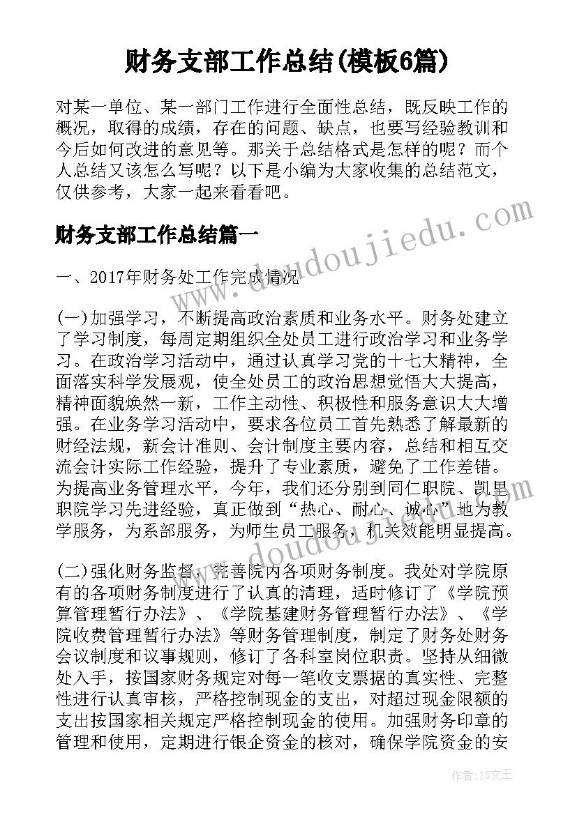 财务支部工作总结(模板6篇)