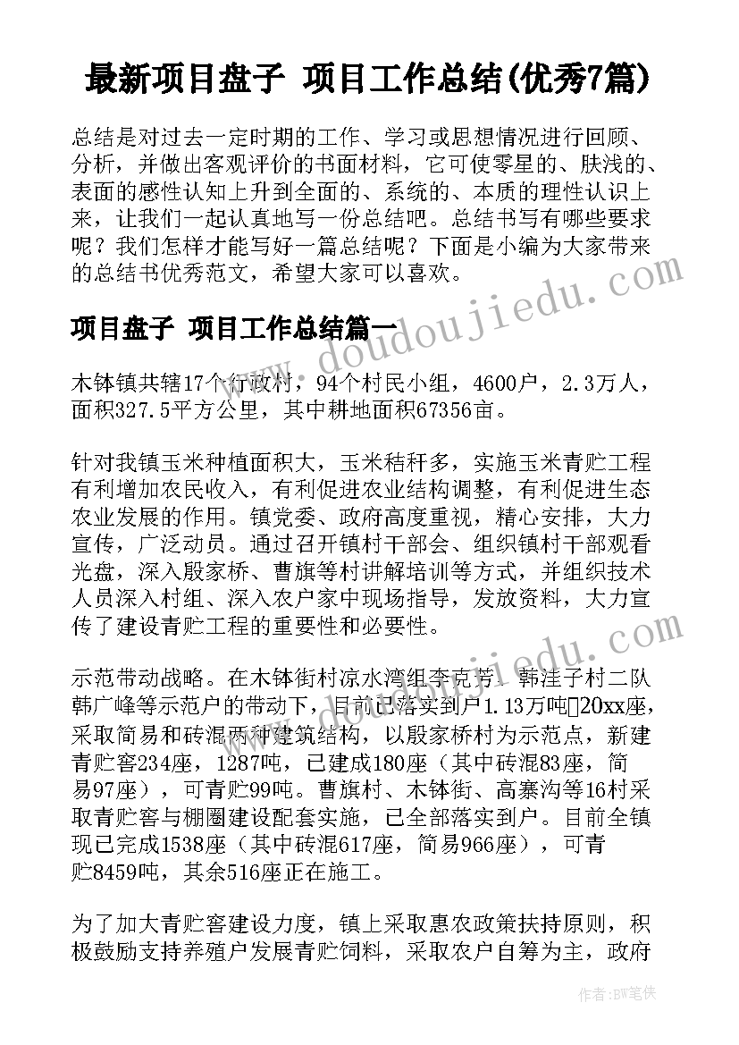 最新项目盘子 项目工作总结(优秀7篇)