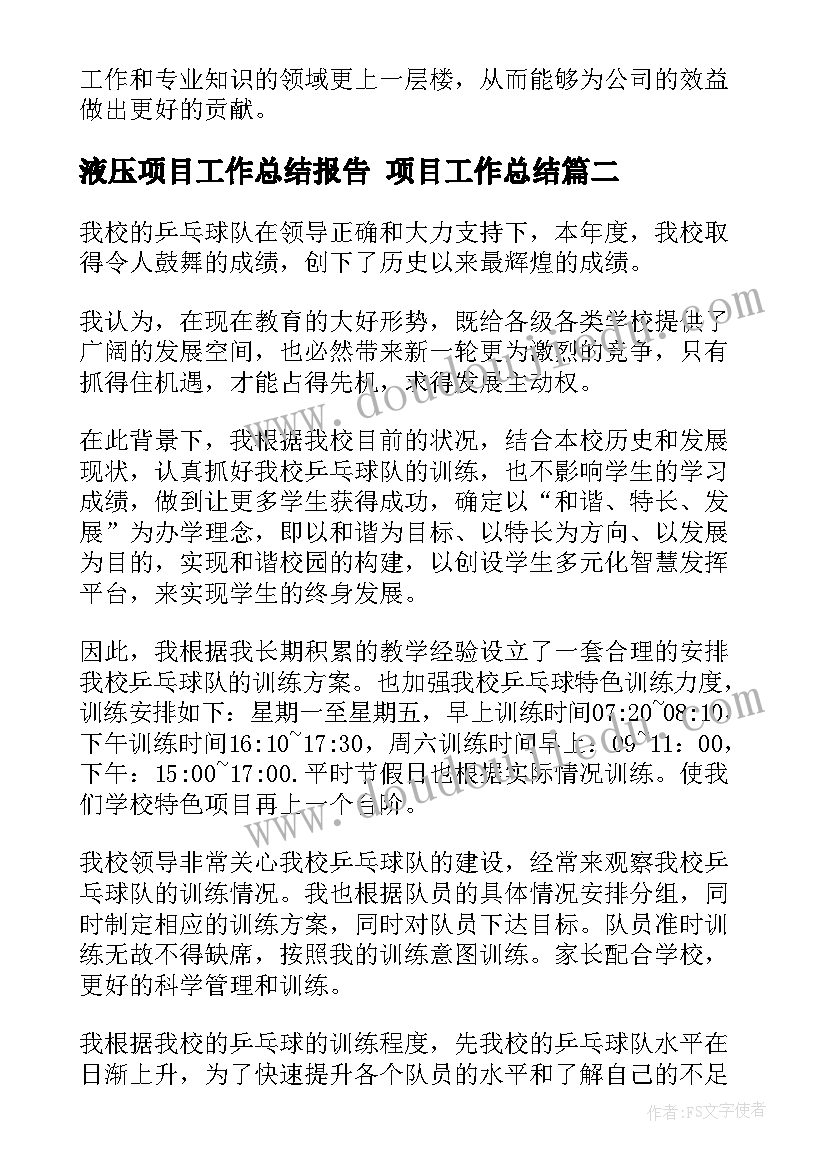 液压项目工作总结报告 项目工作总结(优质7篇)