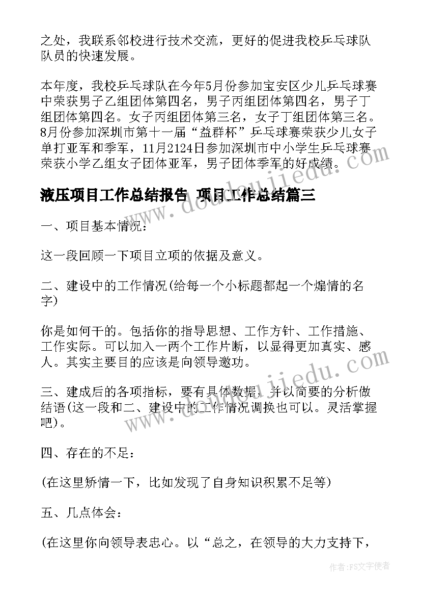 液压项目工作总结报告 项目工作总结(优质7篇)