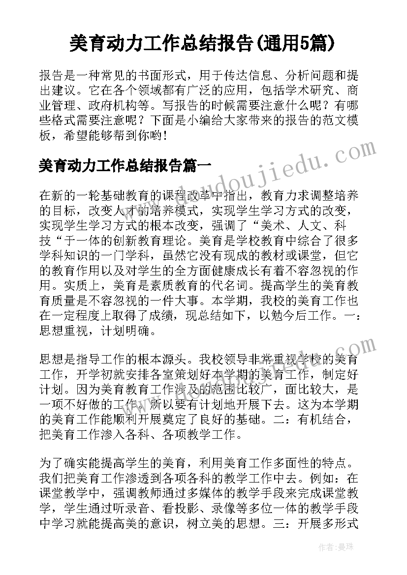 美育动力工作总结报告(通用5篇)