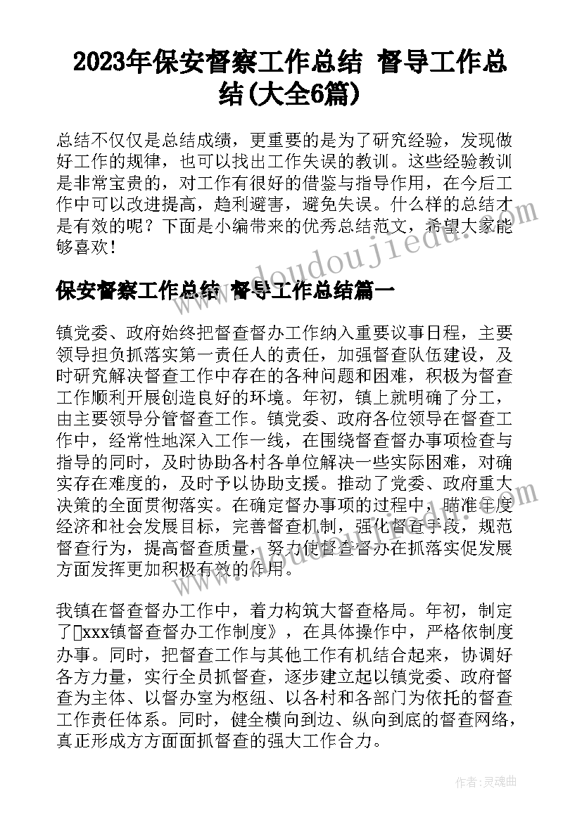 2023年保安督察工作总结 督导工作总结(大全6篇)