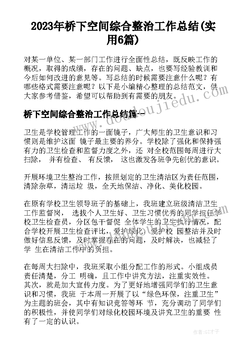 2023年桥下空间综合整治工作总结(实用6篇)