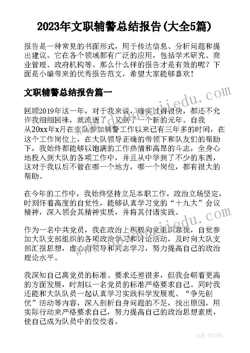 2023年文职辅警总结报告(大全5篇)