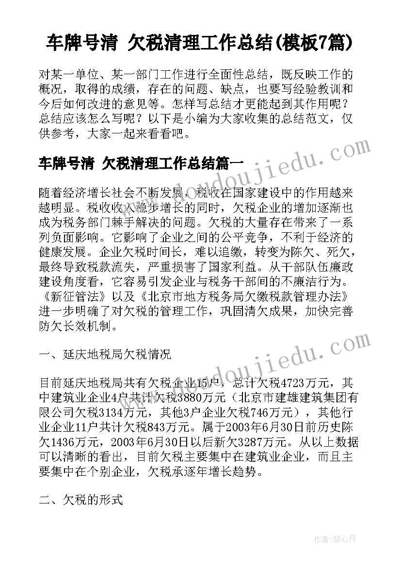 车牌号清 欠税清理工作总结(模板7篇)