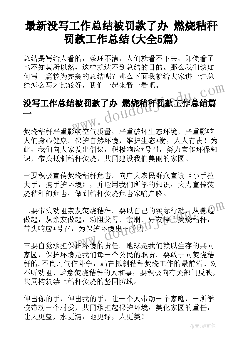 最新没写工作总结被罚款了办 燃烧秸秆罚款工作总结(大全5篇)