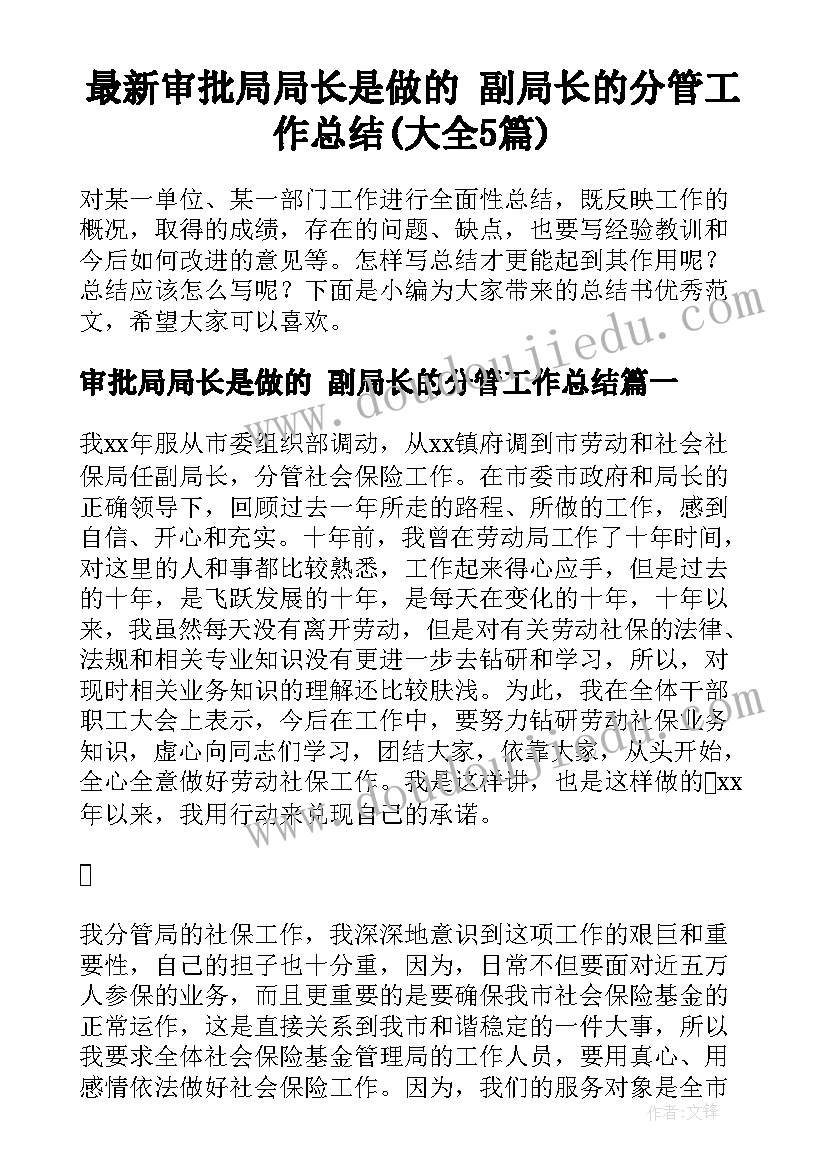 最新审批局局长是做的 副局长的分管工作总结(大全5篇)