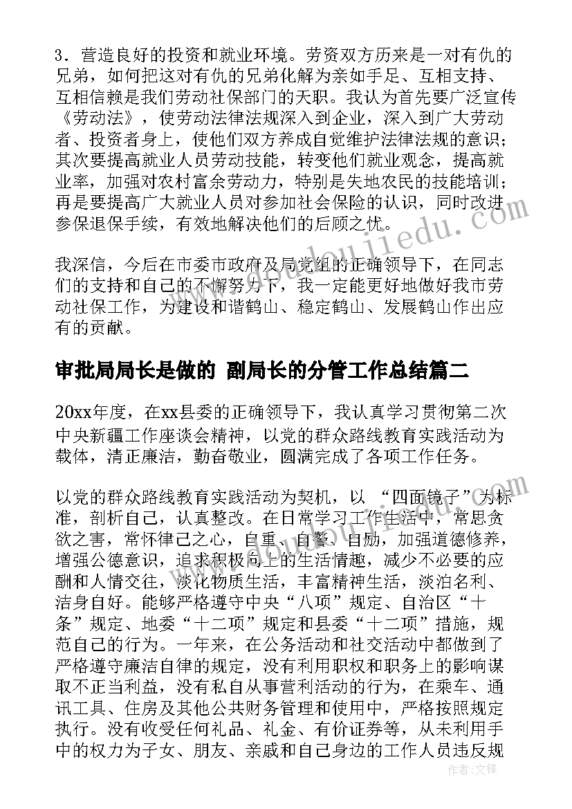 最新审批局局长是做的 副局长的分管工作总结(大全5篇)