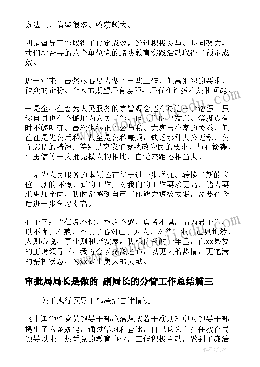 最新审批局局长是做的 副局长的分管工作总结(大全5篇)