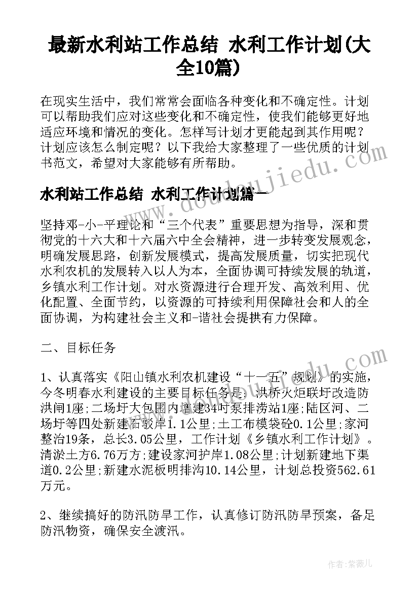 最新水利站工作总结 水利工作计划(大全10篇)