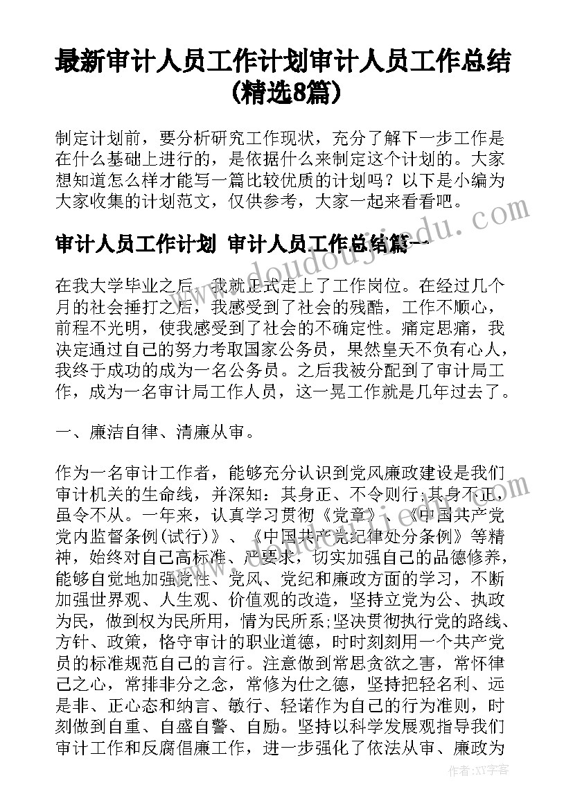 最新审计人员工作计划 审计人员工作总结(精选8篇)