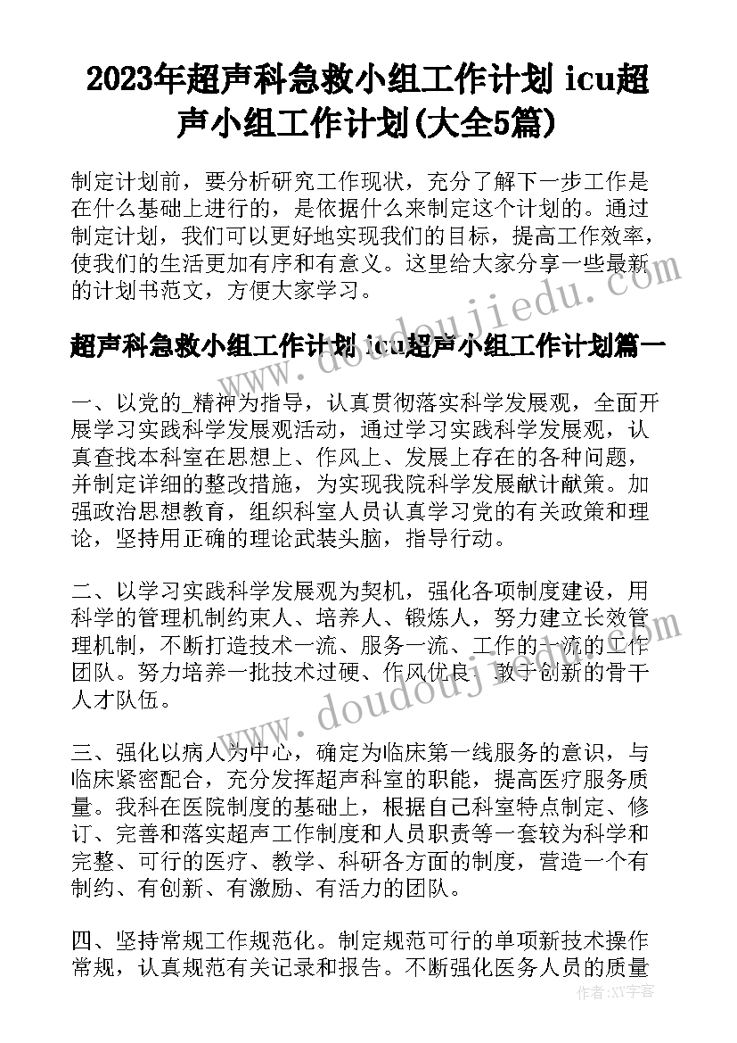 2023年超声科急救小组工作计划 icu超声小组工作计划(大全5篇)