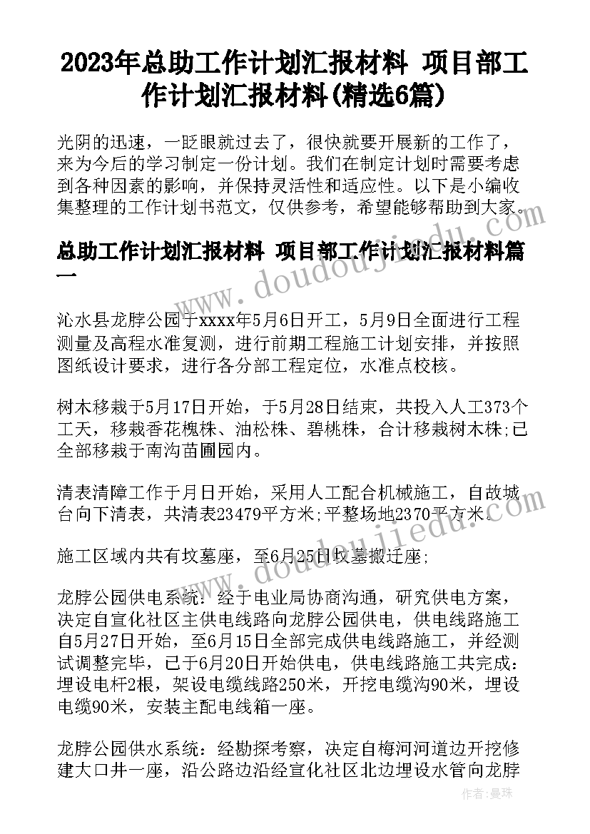 2023年总助工作计划汇报材料 项目部工作计划汇报材料(精选6篇)