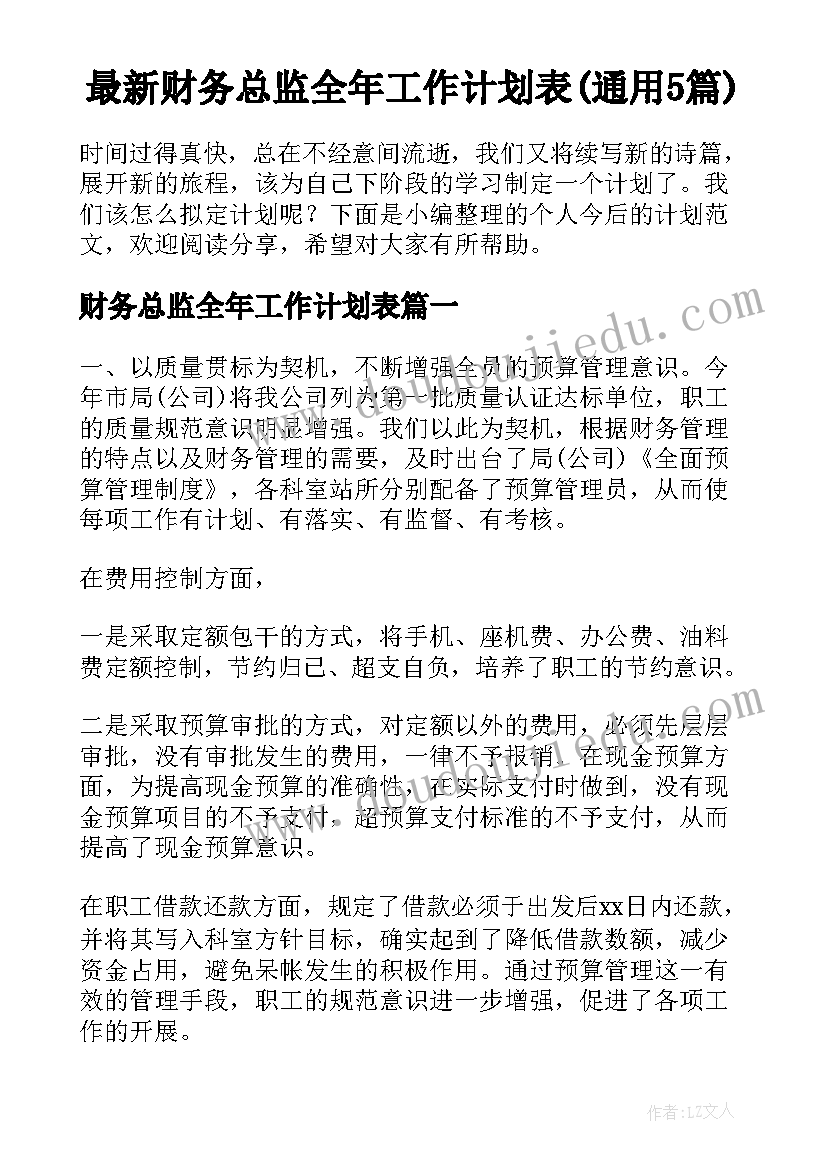 最新财务总监全年工作计划表(通用5篇)