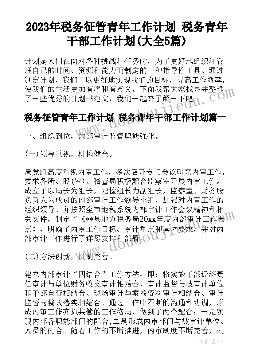 2023年税务征管青年工作计划 税务青年干部工作计划(大全5篇)