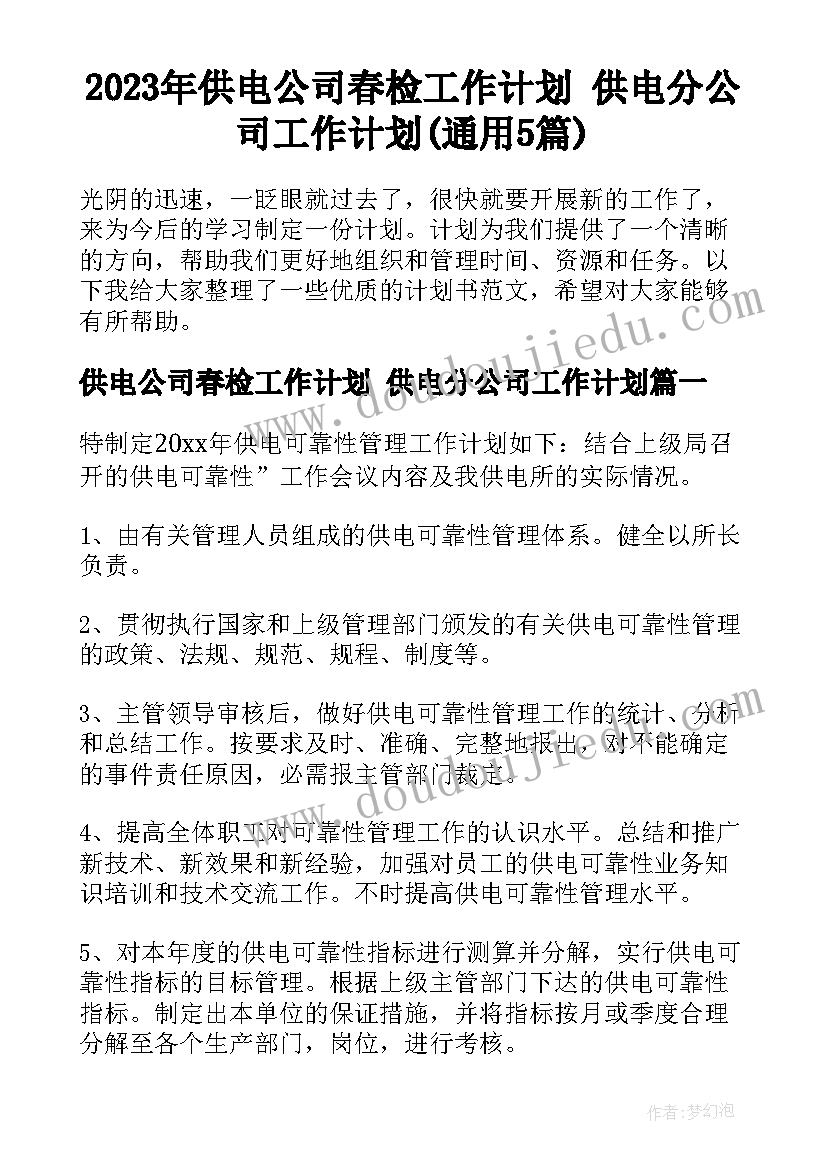 2023年供电公司春检工作计划 供电分公司工作计划(通用5篇)