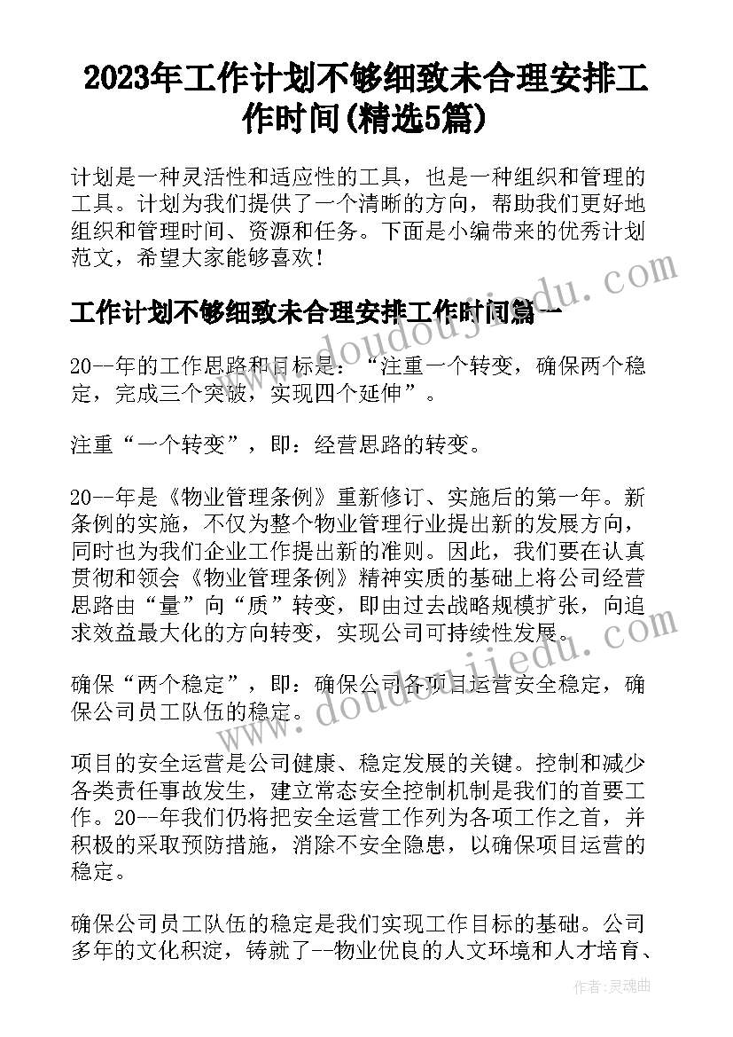 2023年工作计划不够细致未合理安排工作时间(精选5篇)