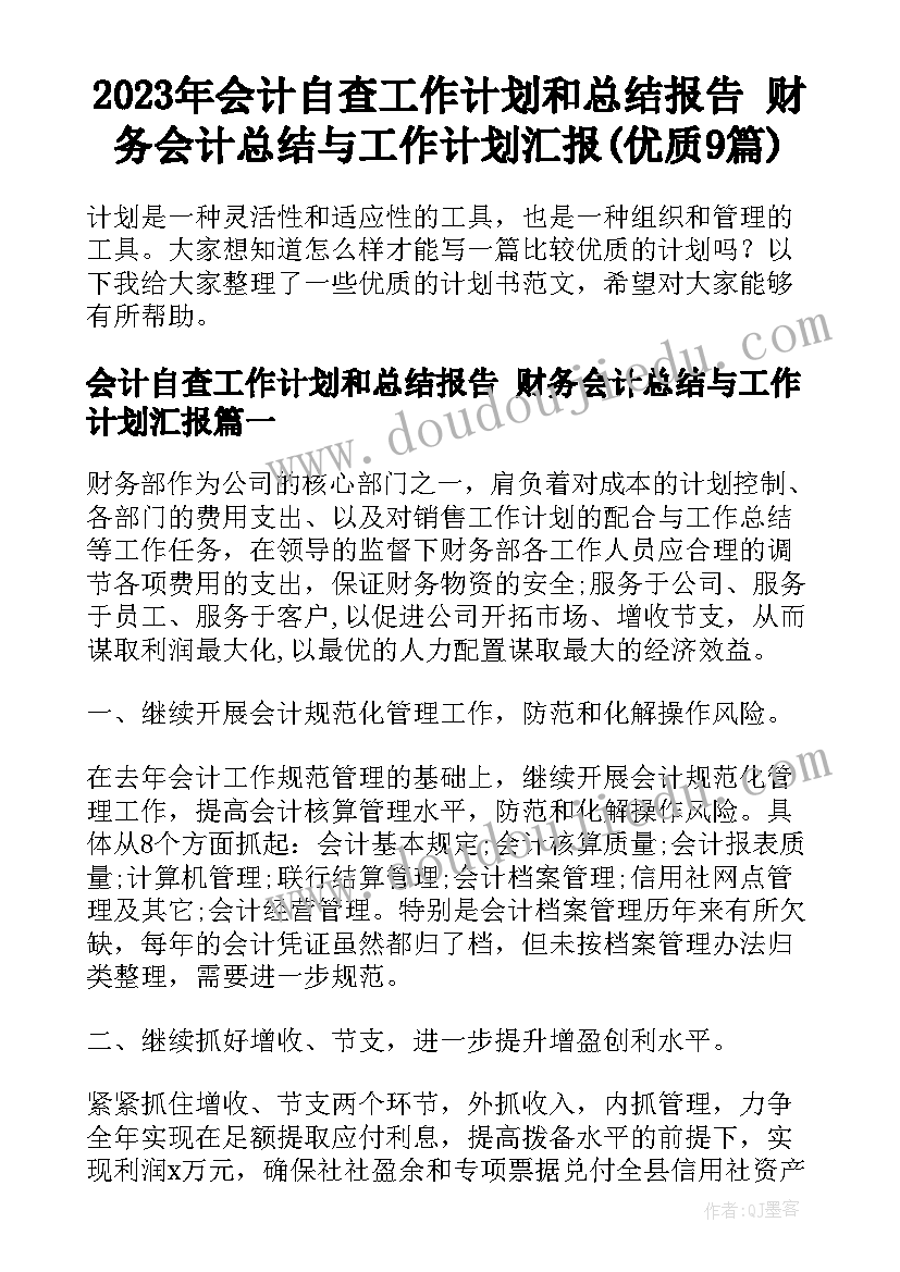 2023年会计自查工作计划和总结报告 财务会计总结与工作计划汇报(优质9篇)