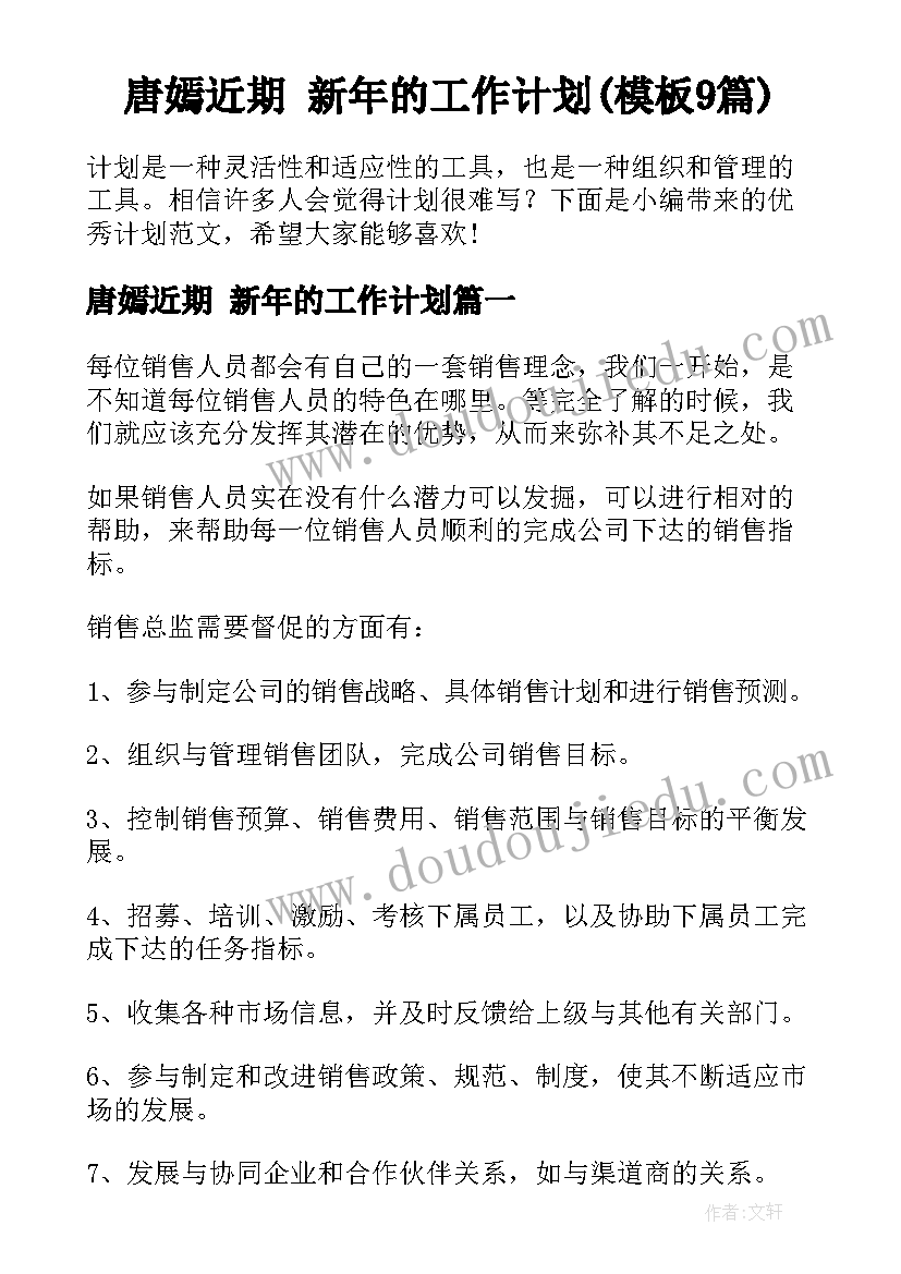 唐嫣近期 新年的工作计划(模板9篇)