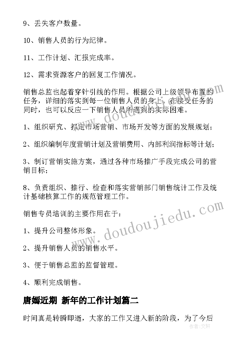 唐嫣近期 新年的工作计划(模板9篇)